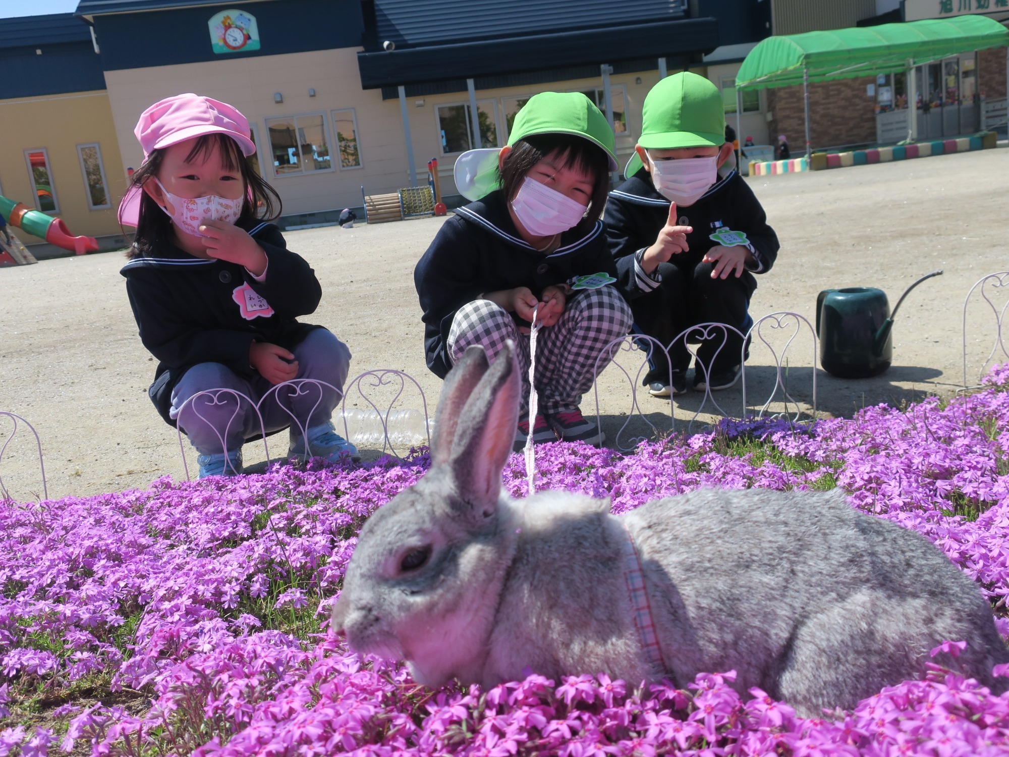 写真：自由遊び