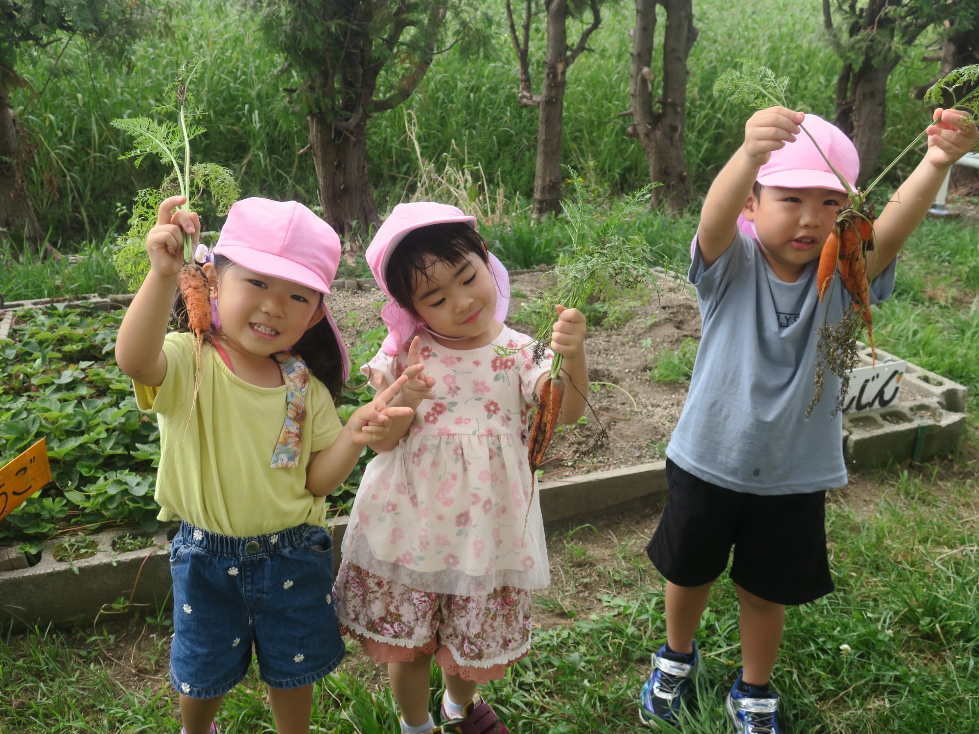 写真：自然体験