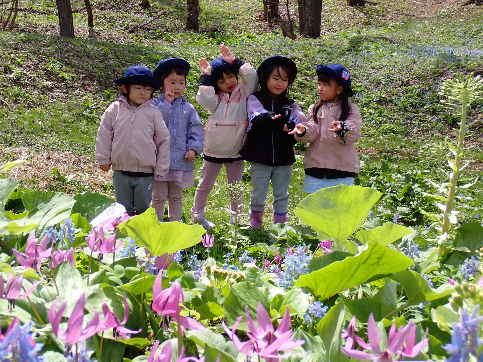 写真：自然体験