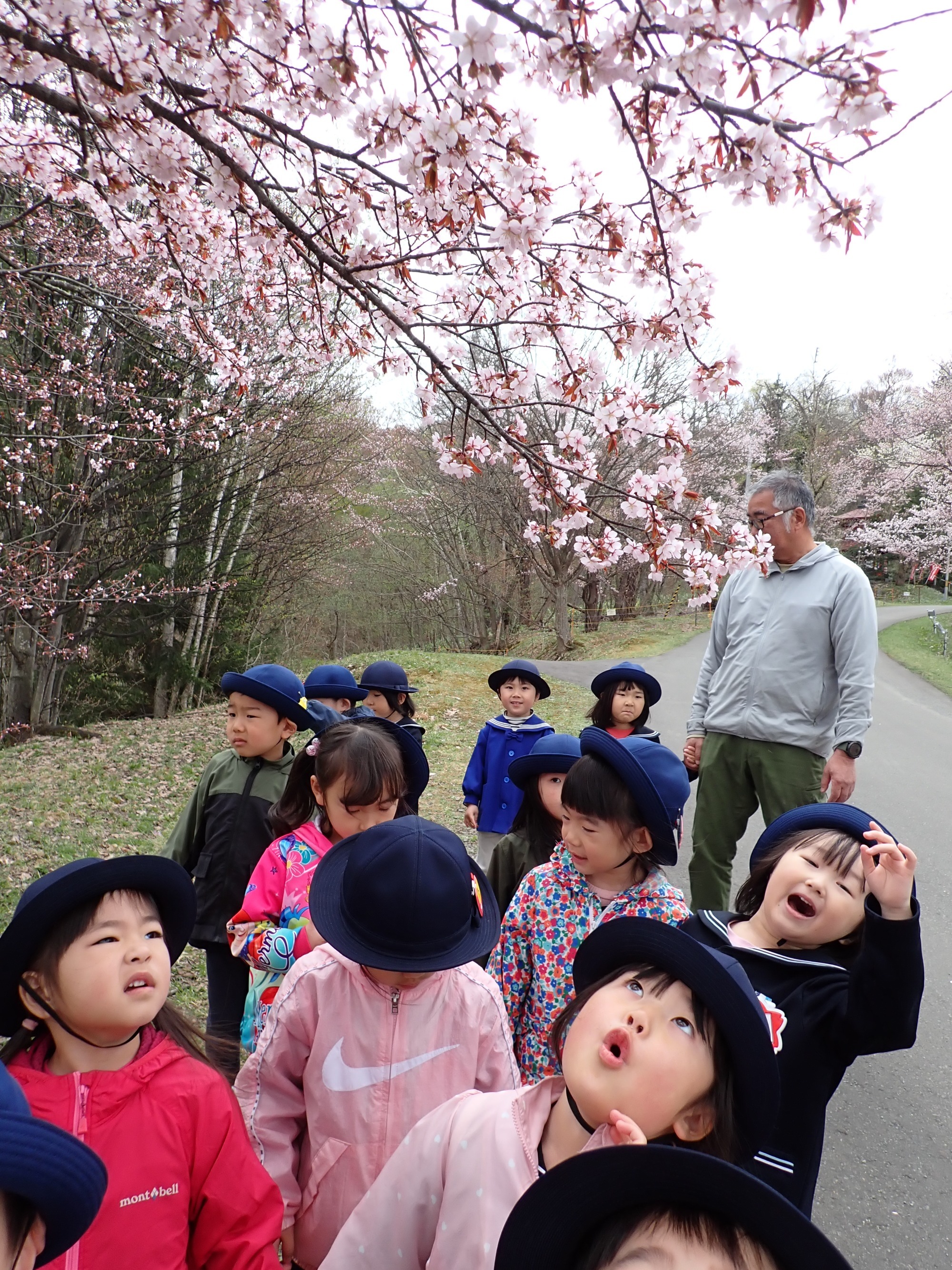 写真：自然体験